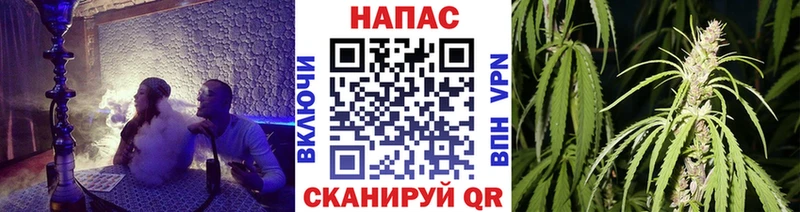 Сколько стоит Новороссийск Галлюциногенные грибы ГАШ Каннабис АМФЕТАМИН