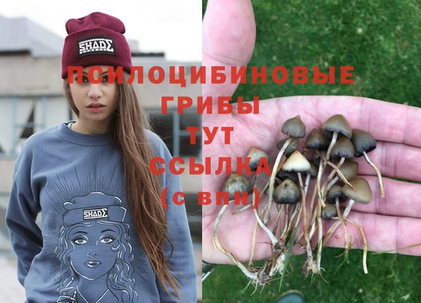 бутират Майский