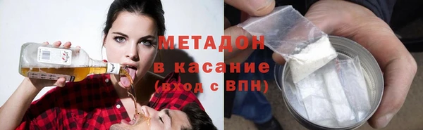 прущие грибы Алзамай