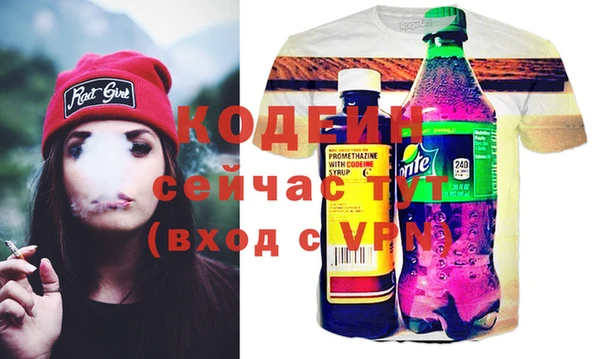 хмурый Алексин