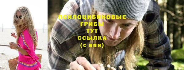 прущие грибы Алзамай