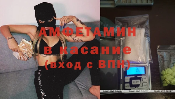 прущие грибы Алзамай