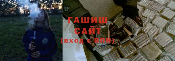 хмурый Алексин