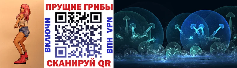 площадка клад Новороссийск Галлюциногенные грибы Psilocybine cubensis где купить наркотик